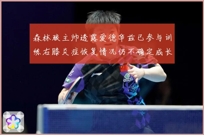 森林狼主帅透露爱德华兹已参与训练右膝炎症恢复情况仍不确定成长观察-深度解析