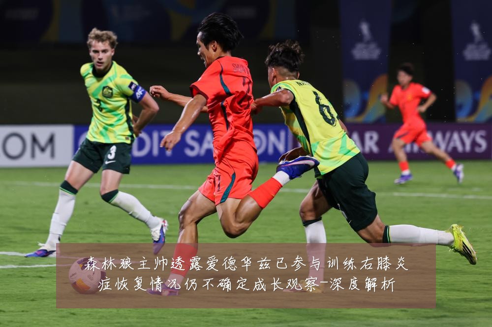 森林狼主帅透露爱德华兹已参与训练右膝炎症恢复情况仍不确定成长观察-深度解析